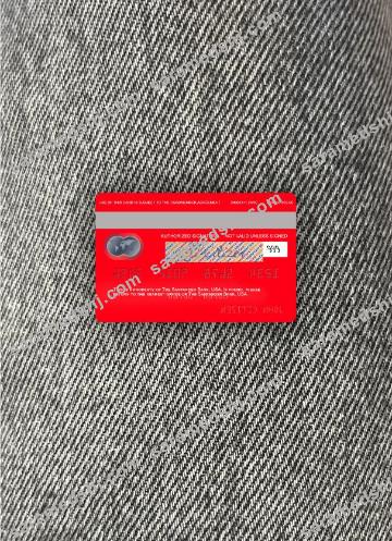 USA Santander Bank mastercard photolook back